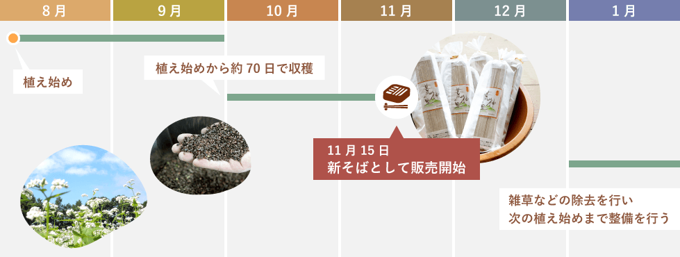 「蕎麦」ができるまで